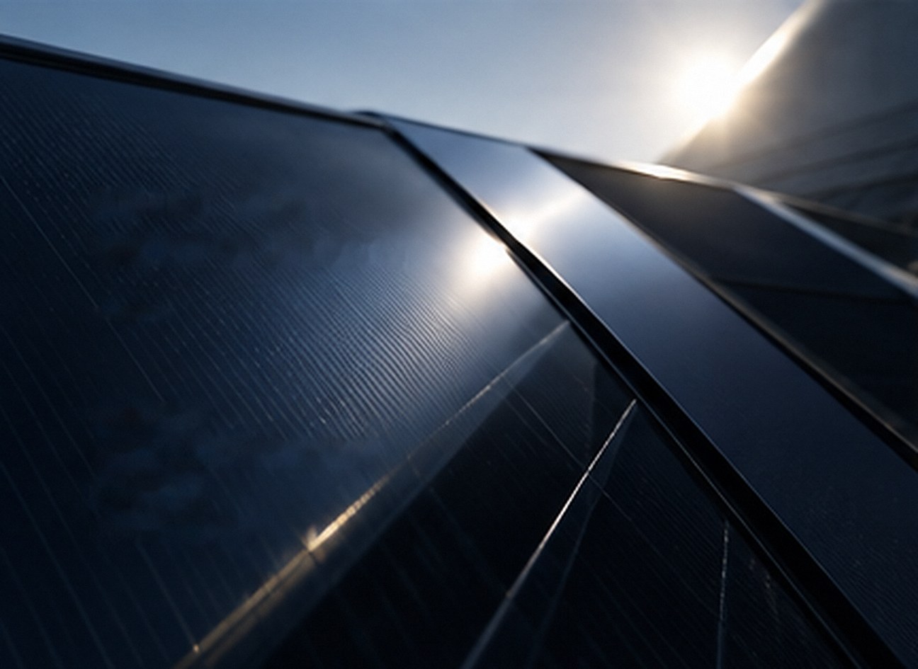 Solar panels catching the low sun